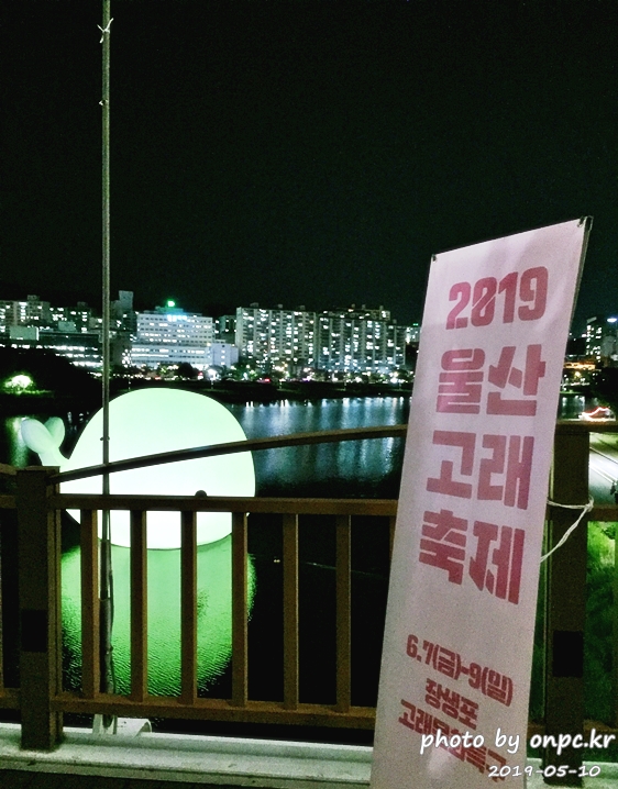 울산 고래축제 2019 (Ulsan Whale Festival 2019)