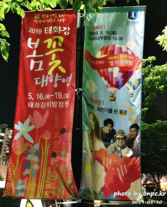 2019 태화강 봄꽃 대향연 느티나무광장 축제