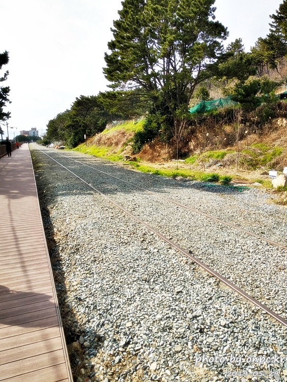 부산 청사포 다릿돌전망대