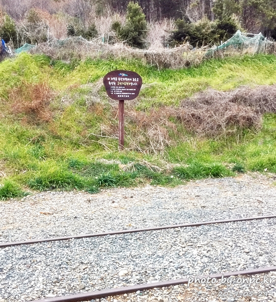 부산 청사포 다릿돌전망대