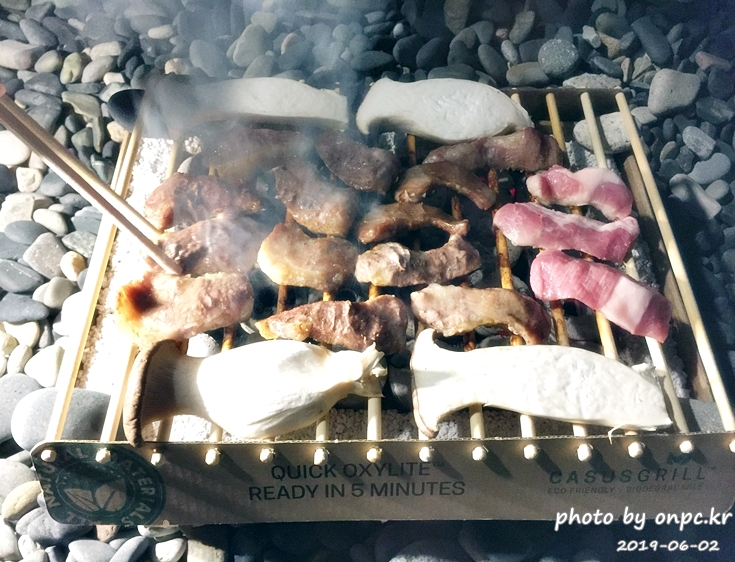카서스 친환경 일회용 그릴