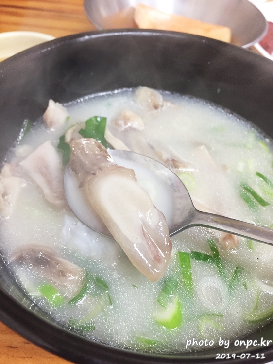 영천시장 포항할매집곰탕