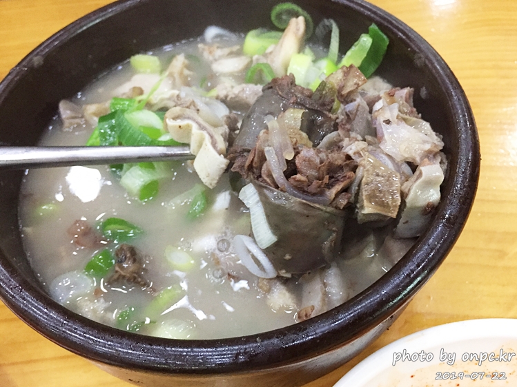 천안 충남집순대