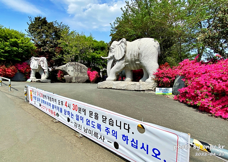 전남강진 남미륵사