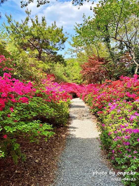 전남강진 남미륵사