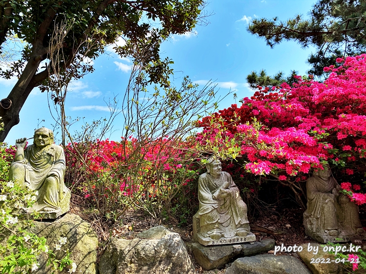 전남강진 남미륵사 500나한상