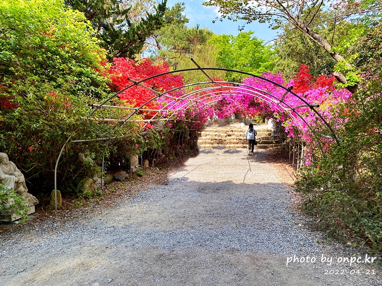 전남강진 남미륵사