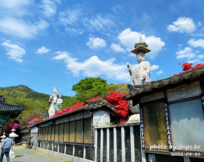 전남강진 남미륵사 대웅전