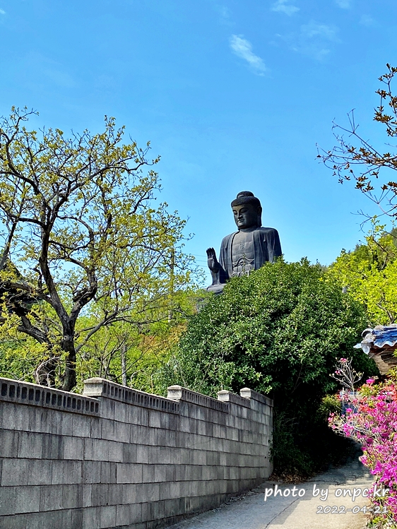 전남강진 남미륵사 아미타좌불상