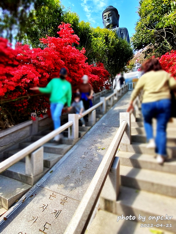 전남강진 남미륵사 아미타좌불상