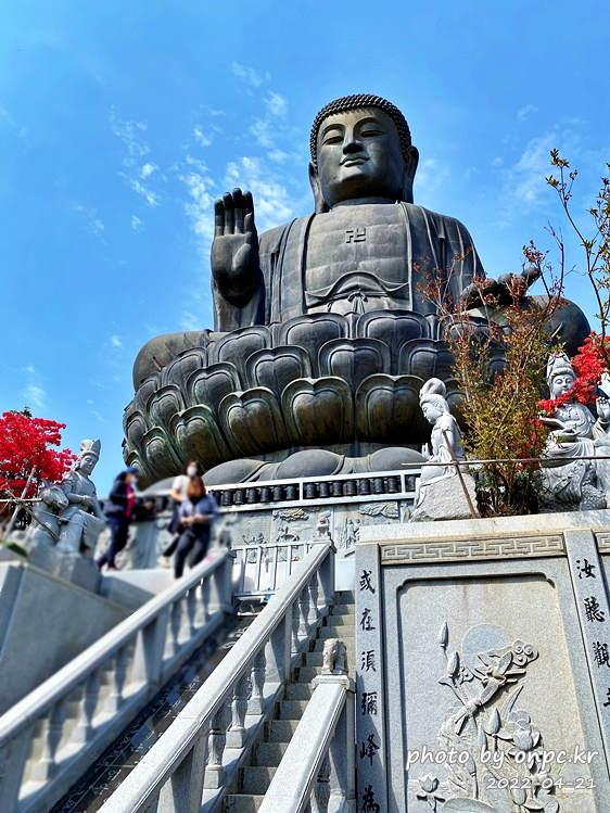 전남강진 남미륵사 아미타좌불상