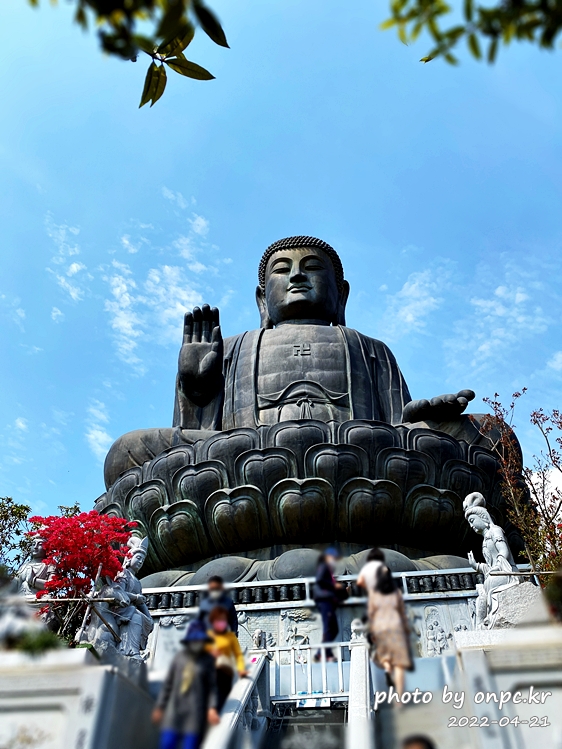 전남강진 남미륵사 아미타좌불상