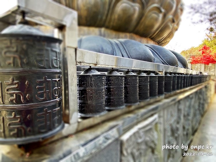 전남강진 남미륵사 아전남강진 남미륵사 아미타좌불상미타좌불상