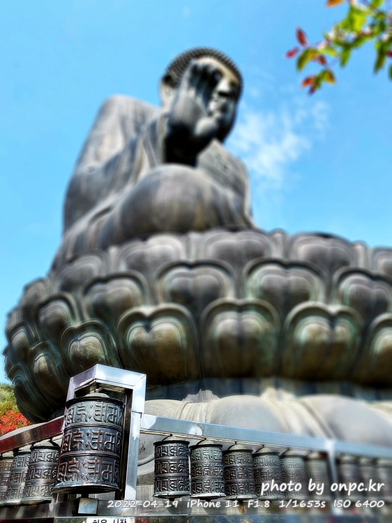 전남강진 남미륵사 아미타좌불상