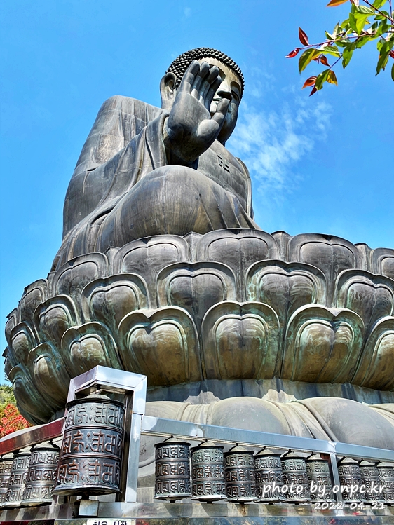 전남강진 남미륵사 아미타좌불상