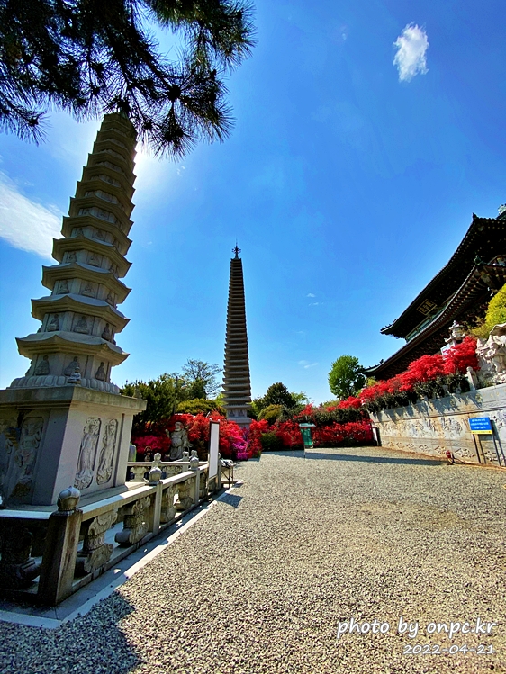 전남강진 남미륵사 관음전 아미타좌불상