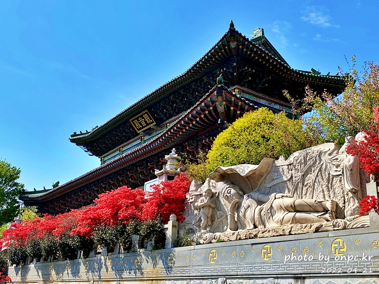 전남강진 남미륵사 관음전 아미타좌불상