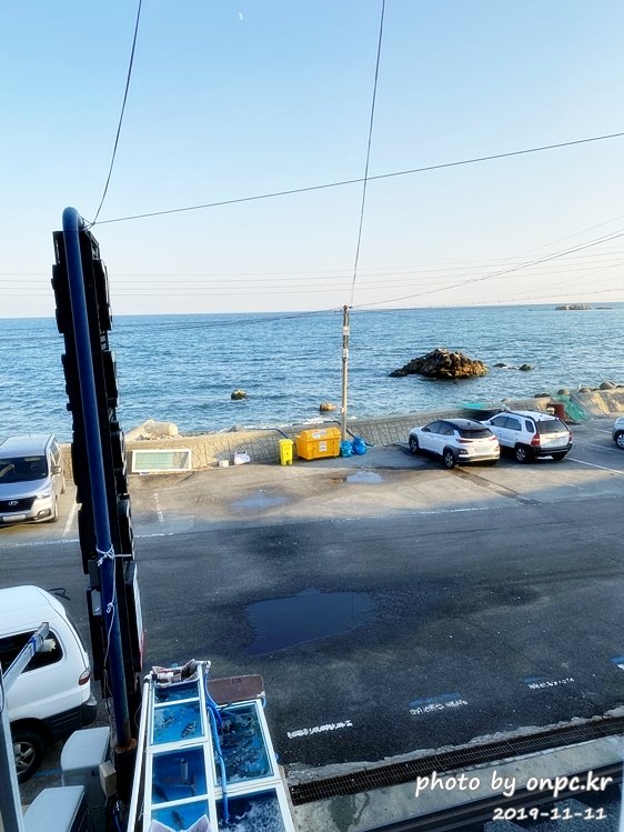 경주 감포횟집