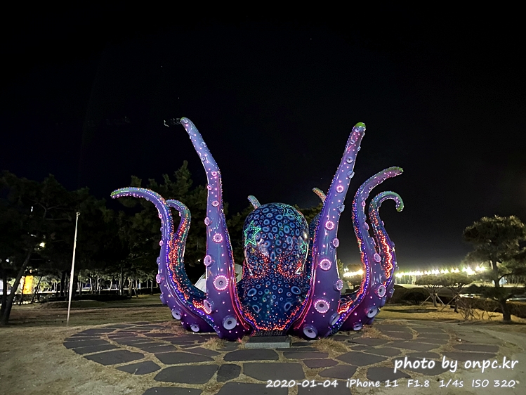 포항 호미곶마을 해맞이광장