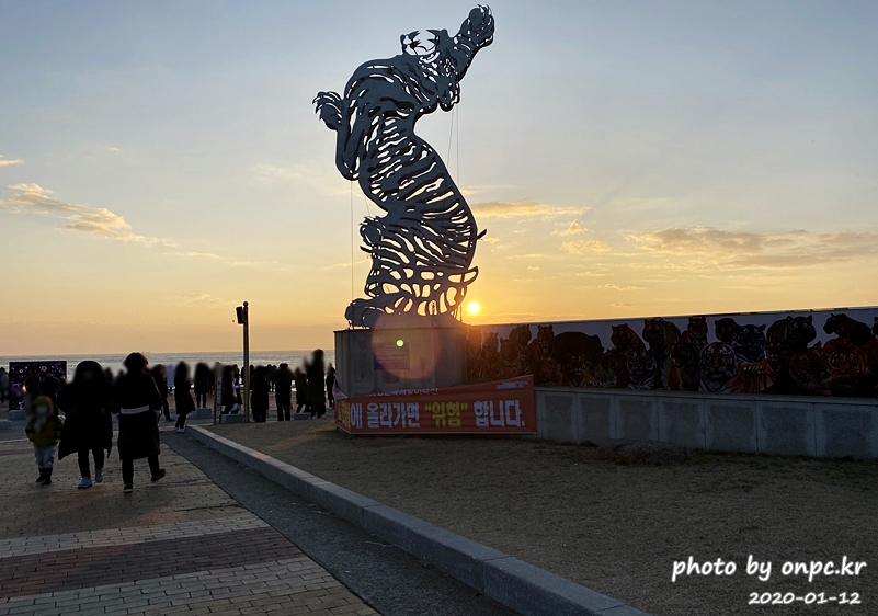 포항 호미곶 해맞이 호랑이조형물