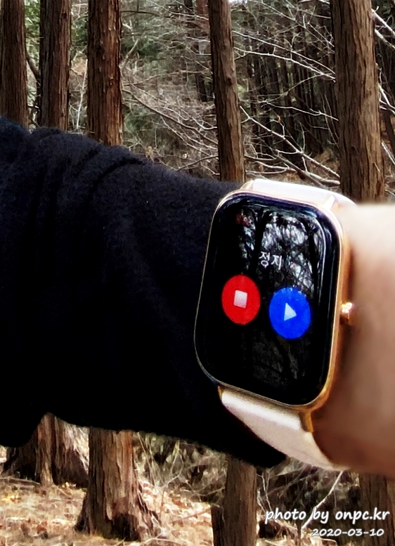 샤오미 Amazfit GTS Gold