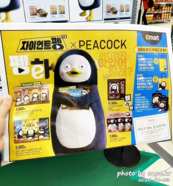 자이언트펭TV펭수X PEACOCK