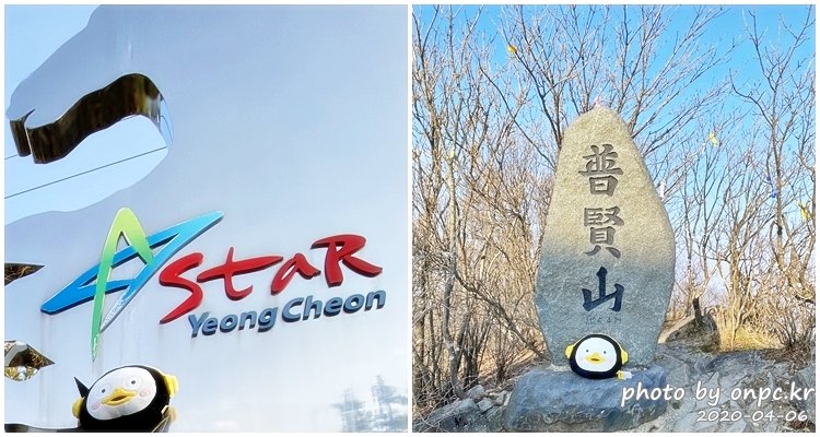 펭수XGS25