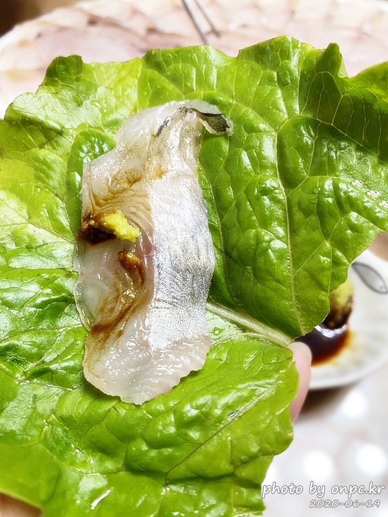 여름에 먹어야 더욱 맛있는 자연산 회~ 전갱이, 갑오징어, 고랑치 회를 맛보았어요. - 회는 양식, 자연산 둘 다 맛있지만 오늘은 남해 자연산 회 전갱이, 고랑치회, 갑오징어를 소개합니다~ 등가시치(Eelpouts)회