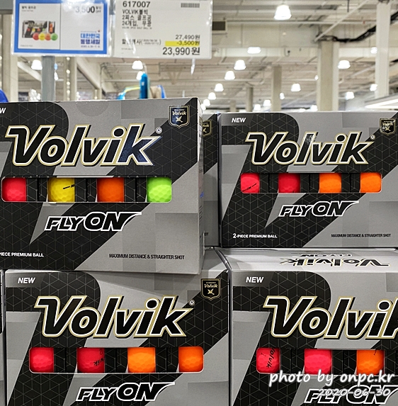 코스트코 대한민국동행세일