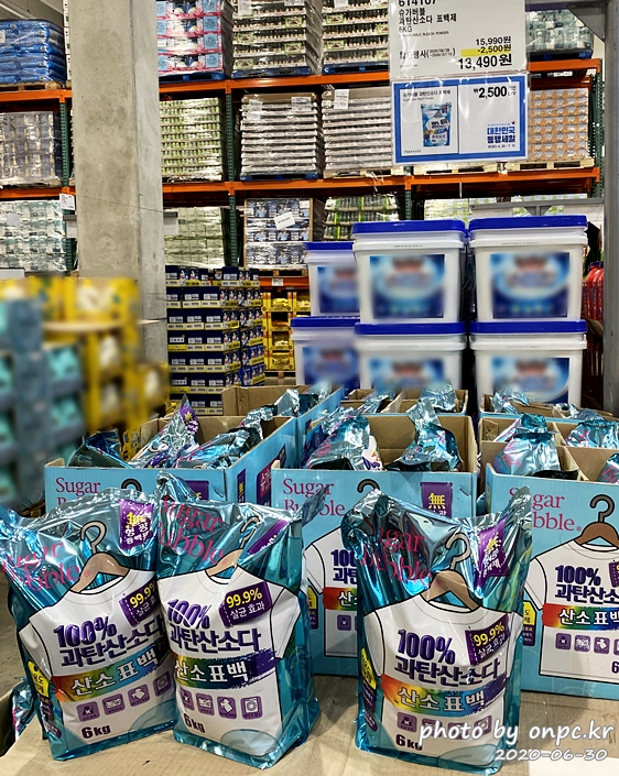 코스트코 대한민국동행세일