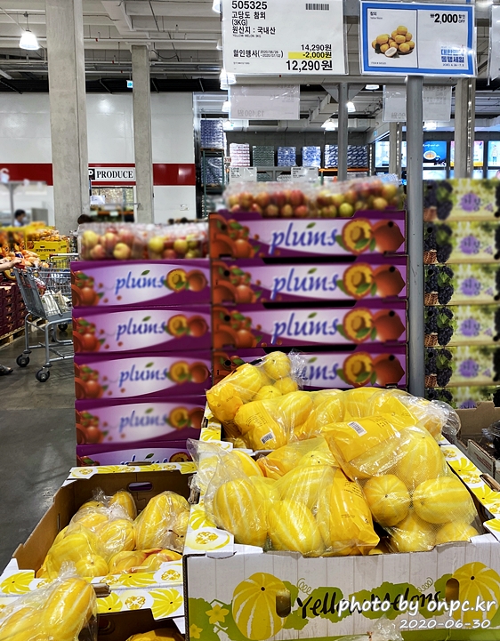 코스트코 대한민국동행세일