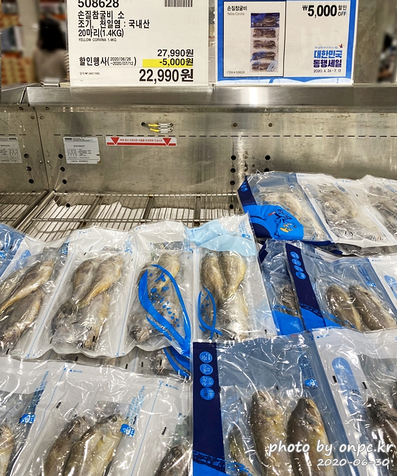 코스트코 대한민국동행세일