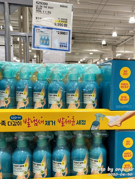 코스트코 대한민국동행세일