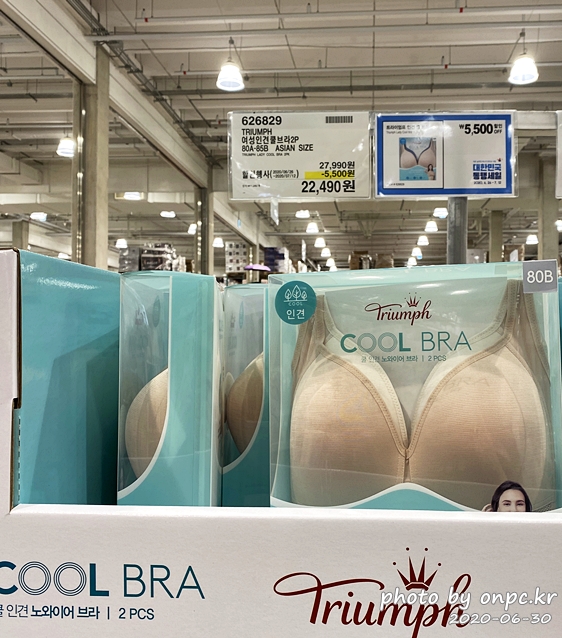 코스트코 대한민국동행세일