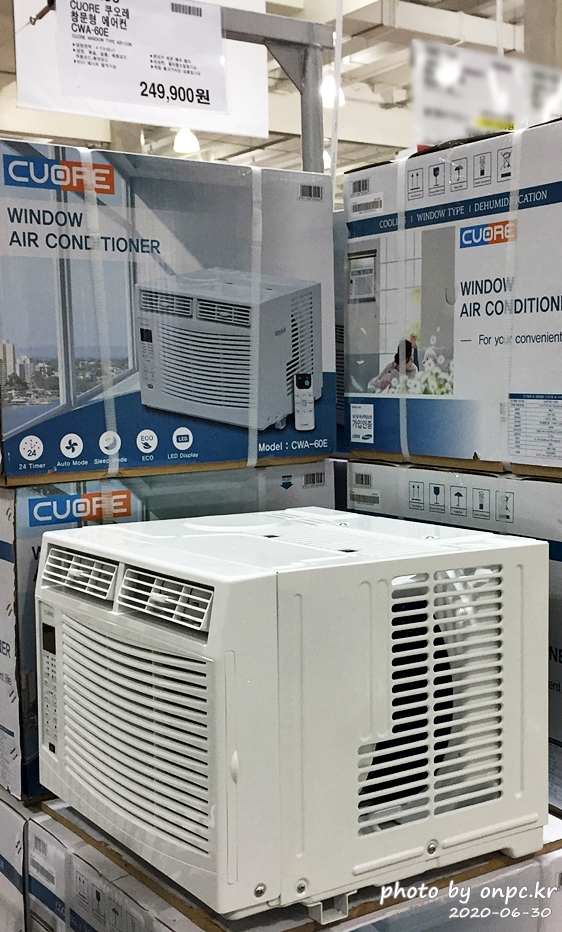 코스트코 대한민국동행세일