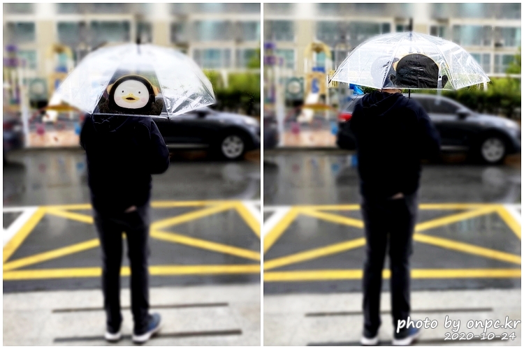 펭수비닐우산