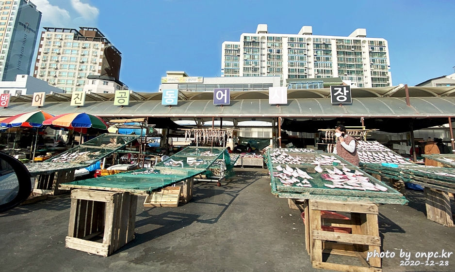 울산동구 방어진 공동어시장