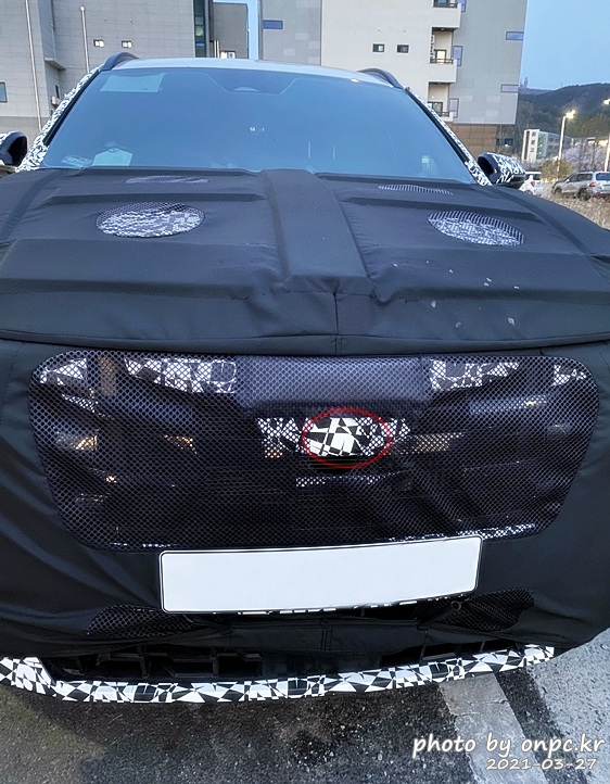 현대자동차 산타크루즈(hyundai santa cruz)