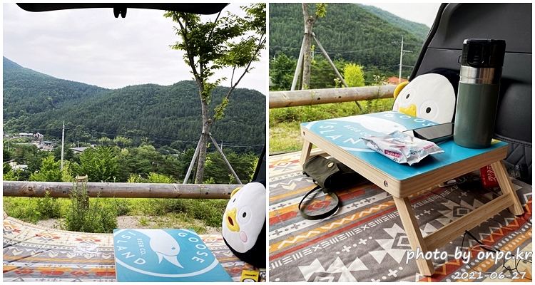 구스아일랜드 덕덕구스 피크닉세션