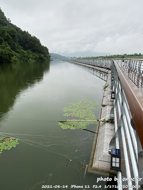 상주 경천섬 수상탐방로