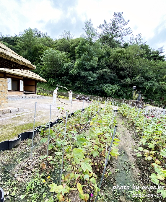 포항 장기유배문화체험촌