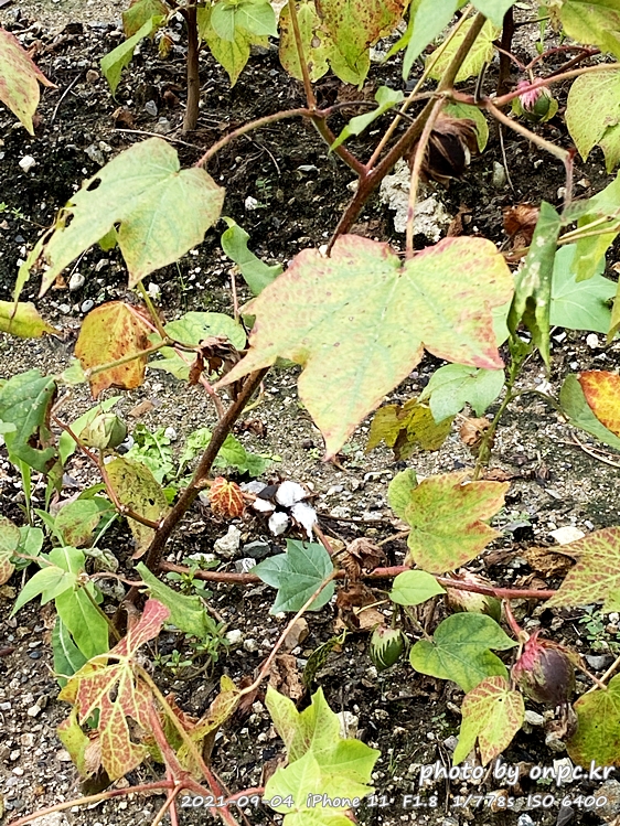 포항 장기유배문화체험촌