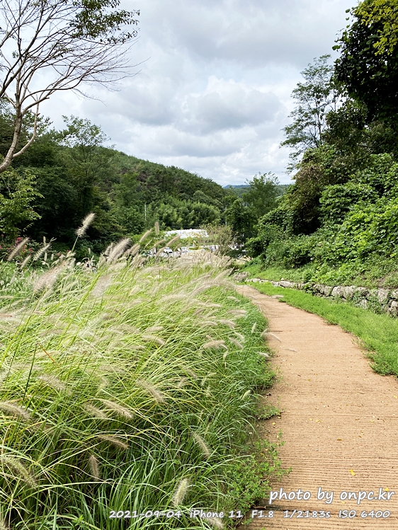 포항 장기유배문화체험촌