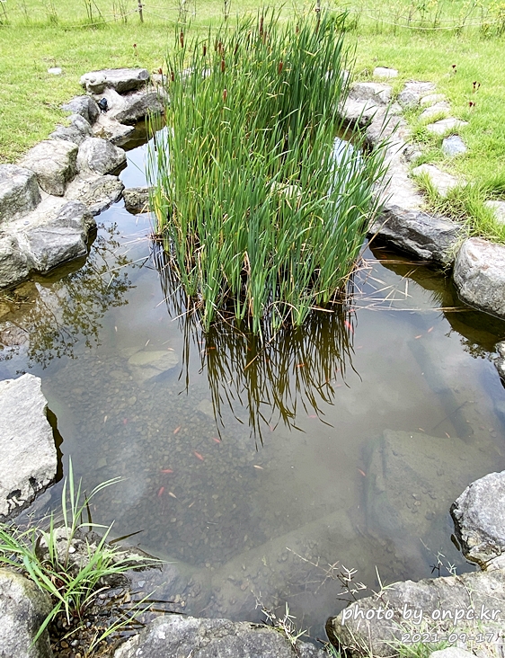 포항 장기유배문화체험촌