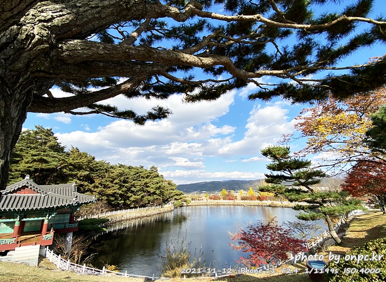 경주 통일전 연못