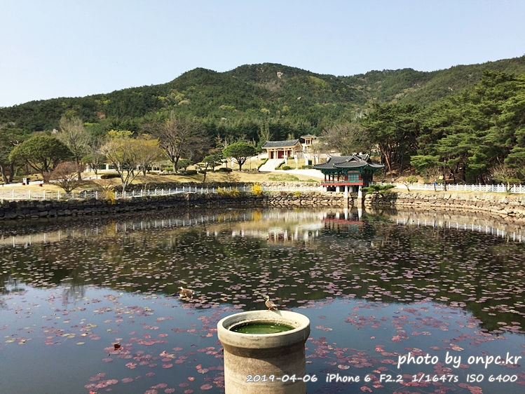 경주 통일전 연못