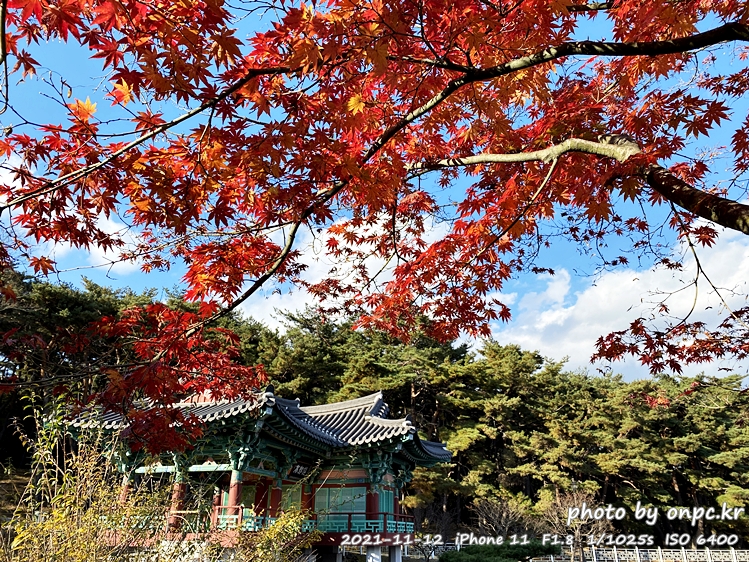 경주 통일전 화랑정