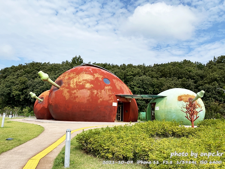 군위여행 어슬렁대추정원