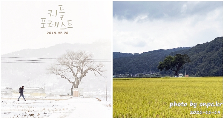 군위여행 리틀포레스트 촬영지