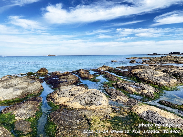 포항드라이브여행 오도주상절리